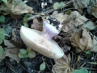 20161015_122306.jpg