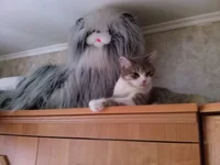  изображение.webp