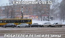 14717109_1122180004504489_4454102752686026479_n.webp
