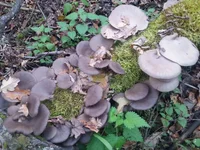 20161015_165921.webp