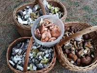 20161021_161528.webp