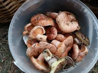 20161021_161413.webp