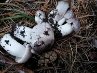 20161021_143107.jpg