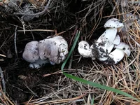 20161021_143024.jpg
