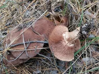 20161021_124347.jpg