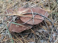 20161021_124328.jpg