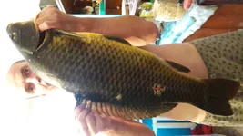 20160816_062915.webp