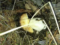 20161022_131035.jpg