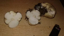 20161023_154633.jpg