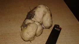 20161023_154609.jpg