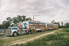740593_1544511.jpg