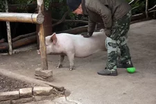 юлька.jpg