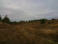 IMG_1113[1].webp
