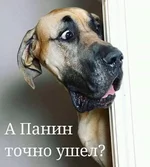 uploadfromtaptalk1477460879282.webp
