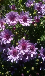  2309.webp