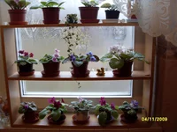 SDC10982.webp