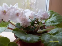 SDC10995.webp