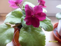 SDC10997.webp