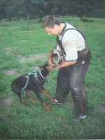 Picture 115.webp