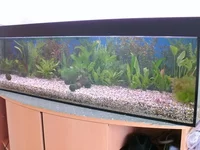 BILD0021_1.webp
