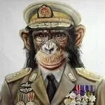 Untitled-1 copy.webp