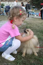 a51a22fb9fed.webp