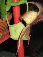 IMG_2791.JPG