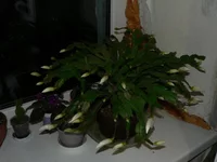  шлюмбергера 2009г общий вид.webp