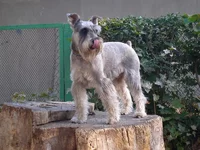 P9241727.webp