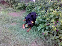 19092009051.webp