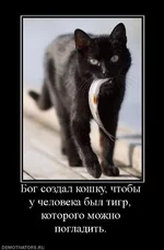 1254098790_1-21.webp