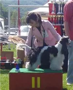 0b10901e167a.webp