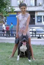 kaa.webp