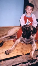 zorik01.jpg