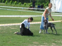 Picture 069.webp