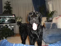 DSC00361.webp