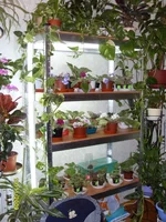 SDC111002.webp