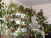 SDC111082.JPG