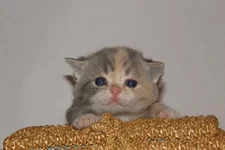 PB126041.webp PB126041.webp