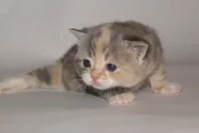 PB126043.webp PB126043.webp