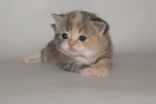 PB126046.webp PB126046.webp