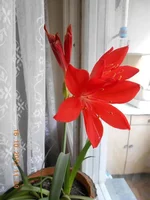 DSCN0095.webp