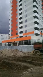 IMAG0453[1].webp