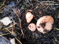 20161105_095843.jpg