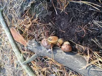 20161105_090352.jpg