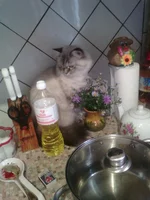 IMG_20160928_171937.webp