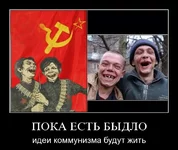 967849_original.webp
