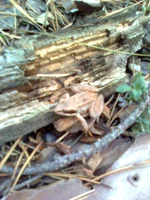 0054.webp