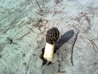 0060.webp