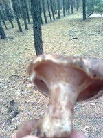 0310.webp